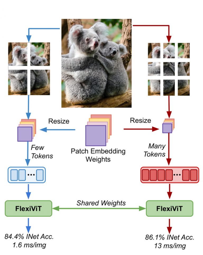 FlexiViT: One Vision Transformer for All Patch Sizes—Deploy Faster or ...